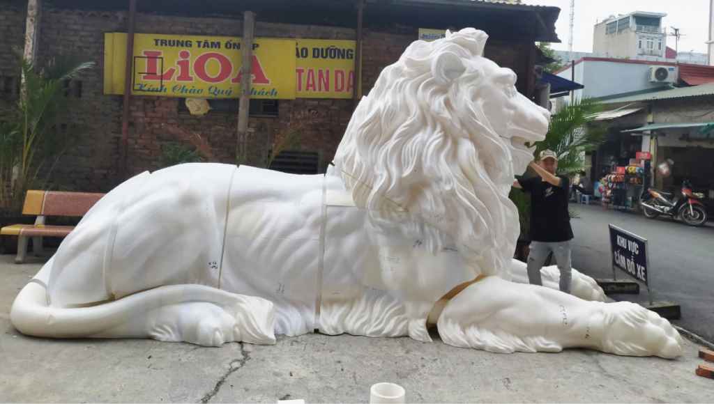 Kích thước và độ phức tạp của mẫu