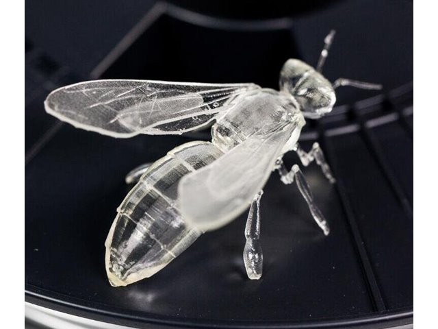 Mẫu mô hình in 3D trong suốt