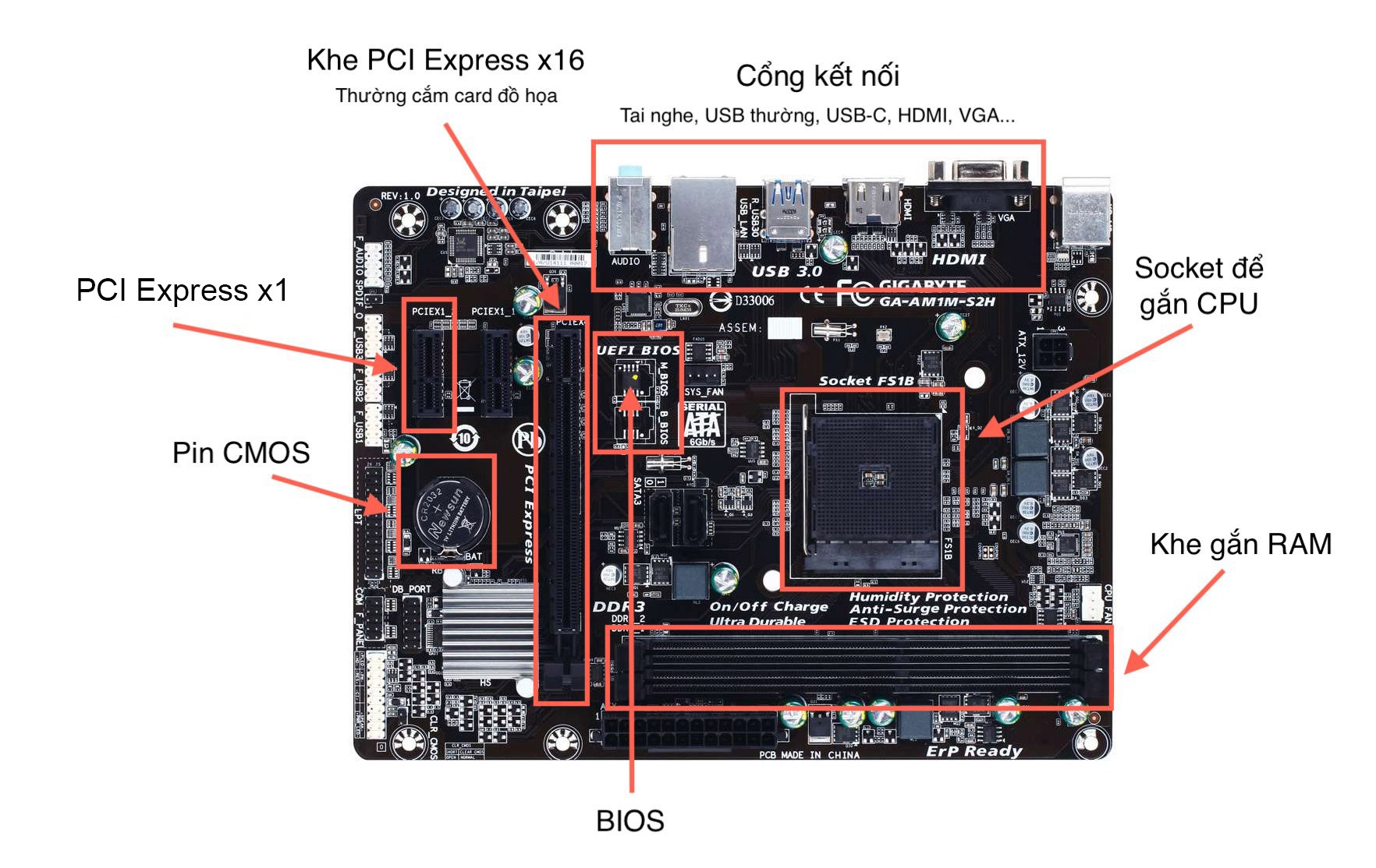 Mainboard và cảm biến
